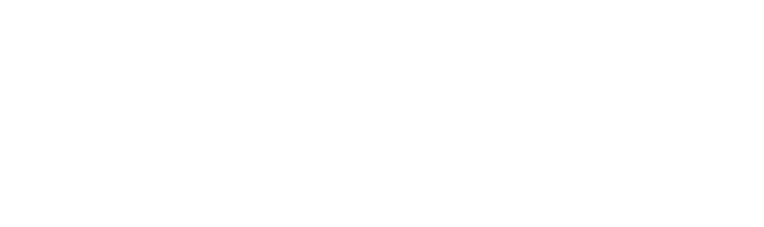 Brixton logo